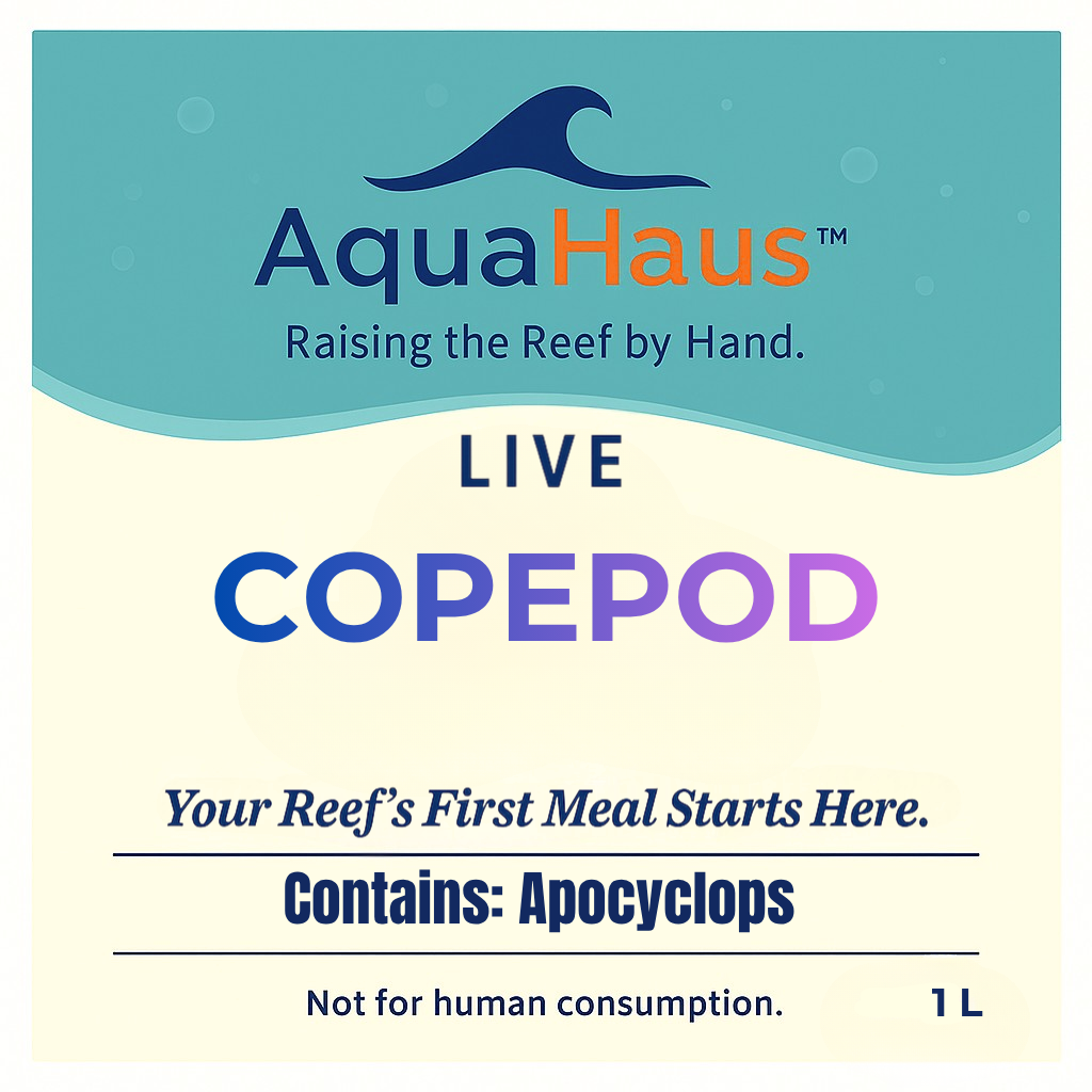 AquaHaus Apocyclops Copepods