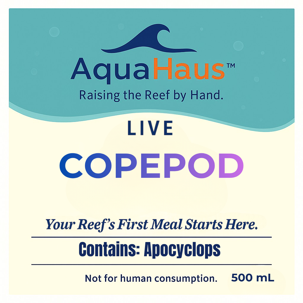 AquaHaus Apocyclops Copepods