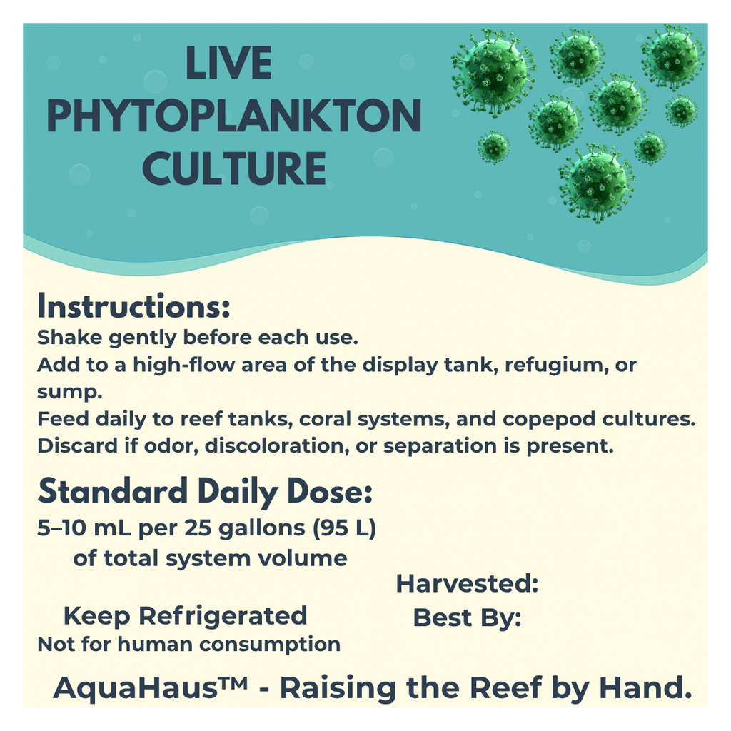 AquaHaus Thalassiosira Phytoplankton