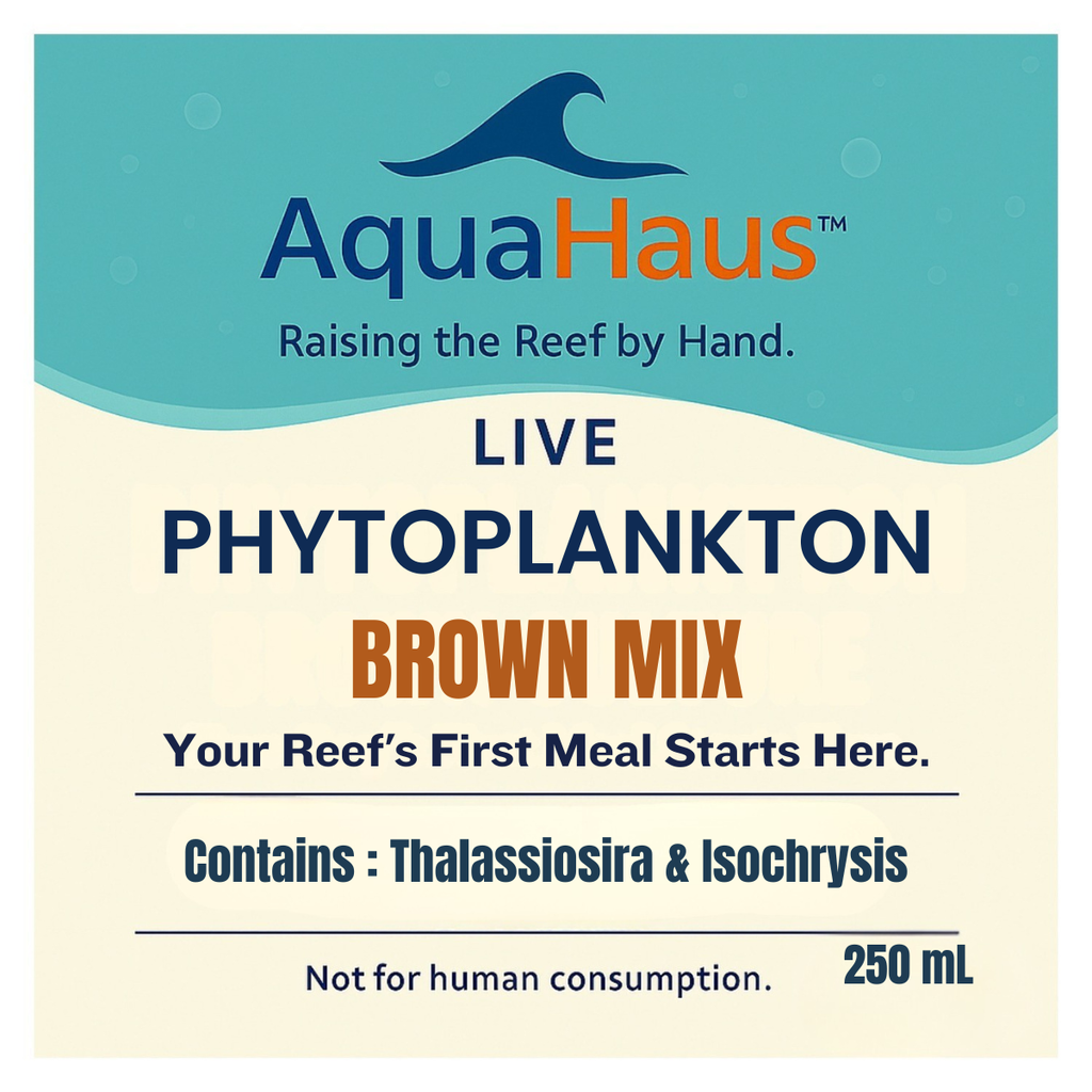 AquaHaus Brown Phytoplankton Mix