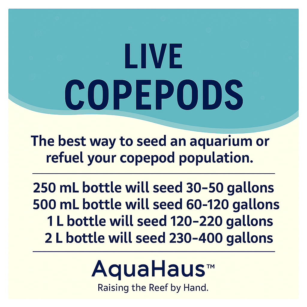 AquaHaus Apocyclops Copepods
