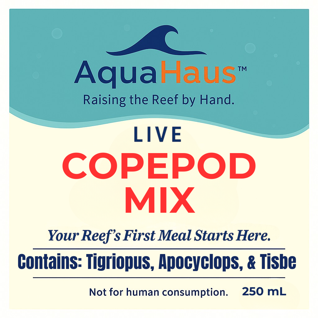 AquaHaus Live Copepod Mix