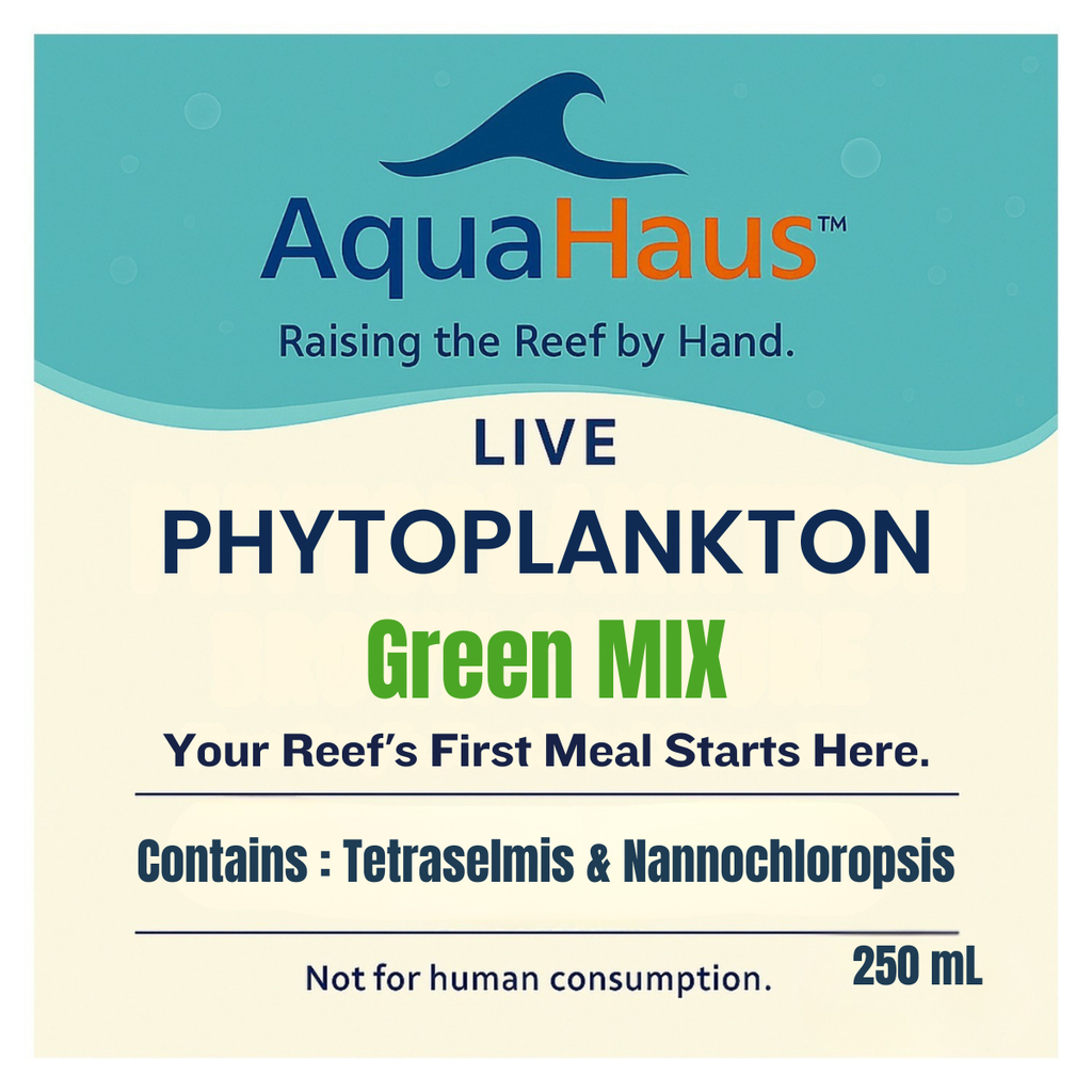 AquaHaus Green Phytoplankton Mix