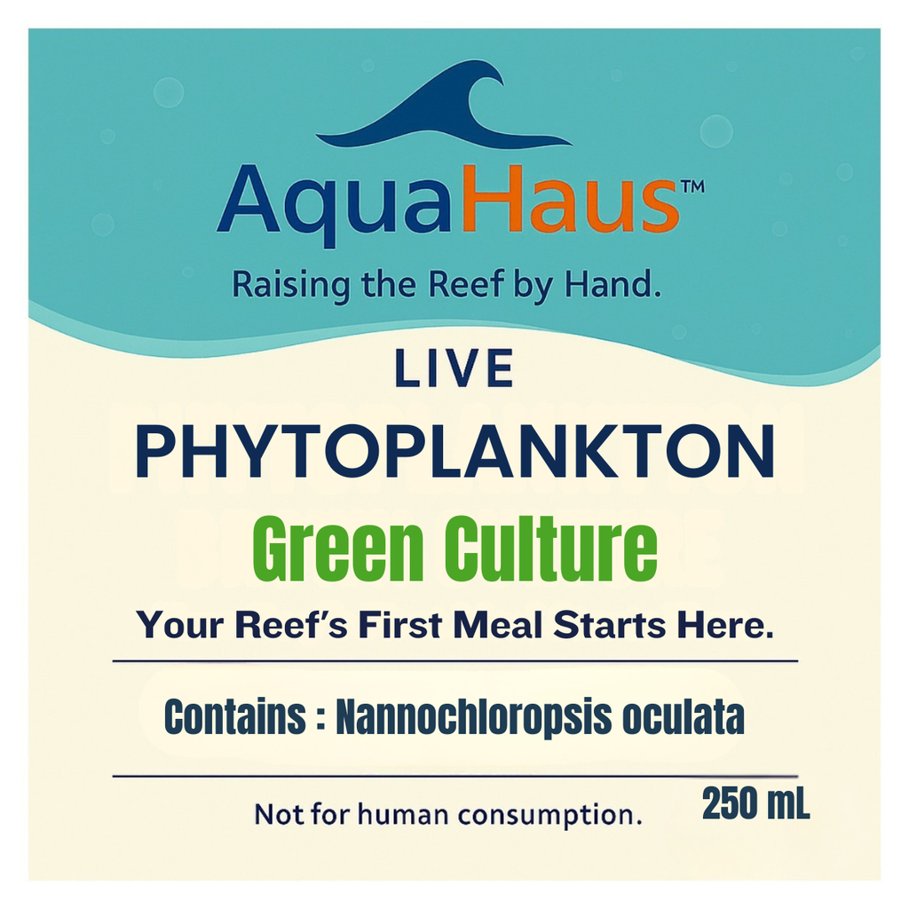 AquaHaus Nannochloropsis Phytoplankton