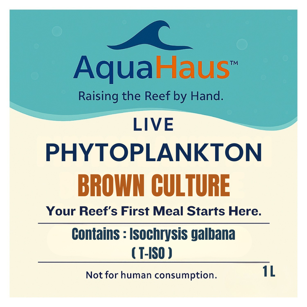 AquaHaus Isochrysis (T-Iso) Phytoplankton