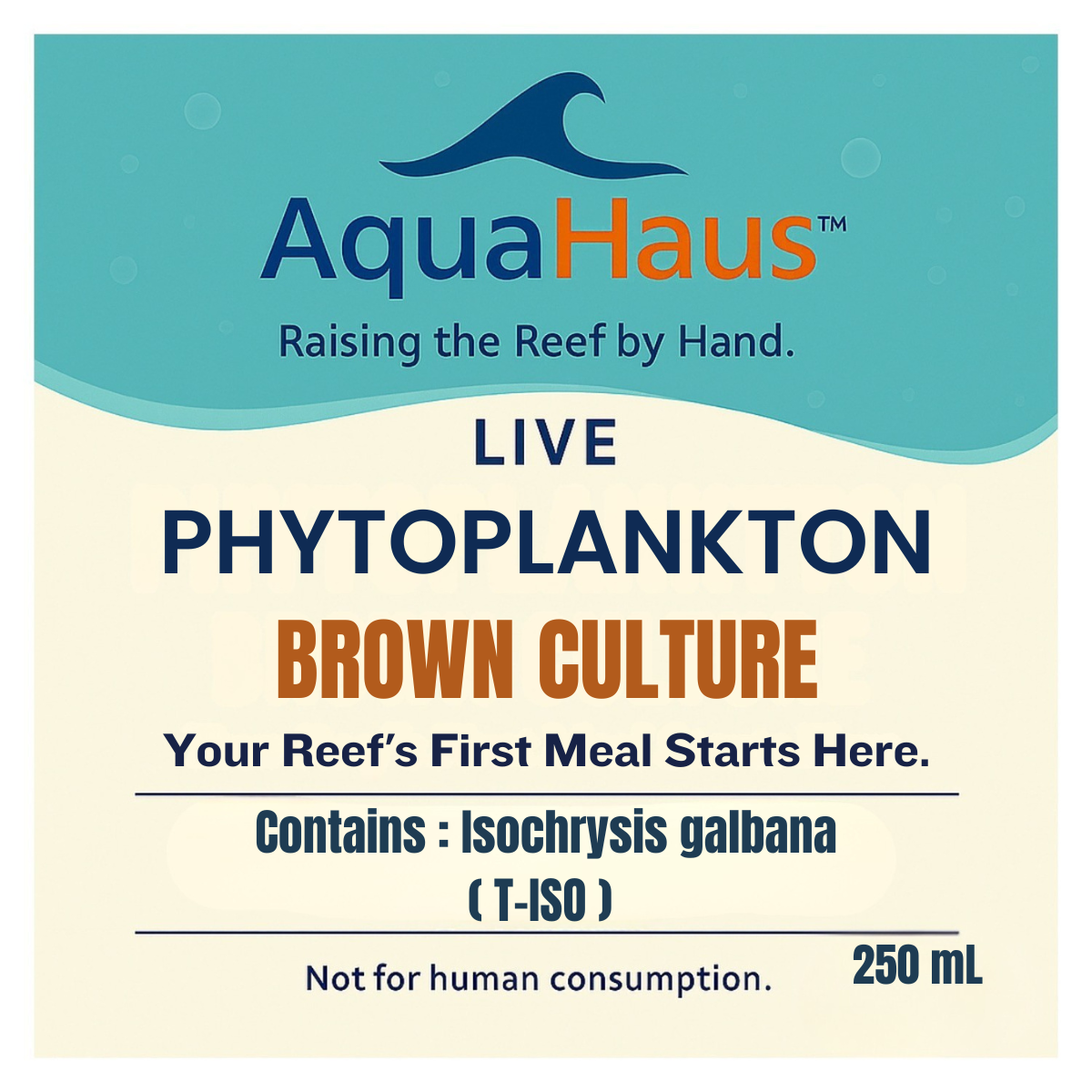 AquaHaus Isochrysis (T-Iso) Phytoplankton