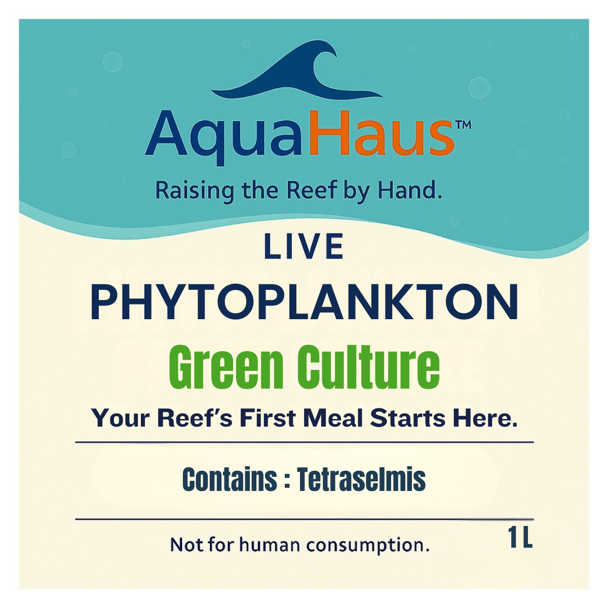 AquaHaus Tetraselmis Phytoplankton