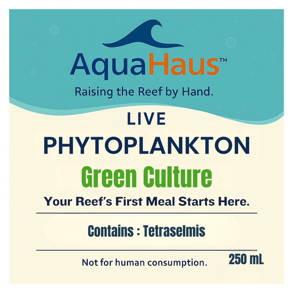 AquaHaus Tetraselmis Phytoplankton