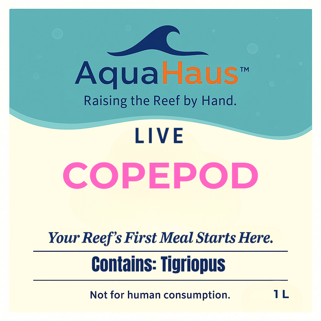 AquaHaus Tigriopus Copepods