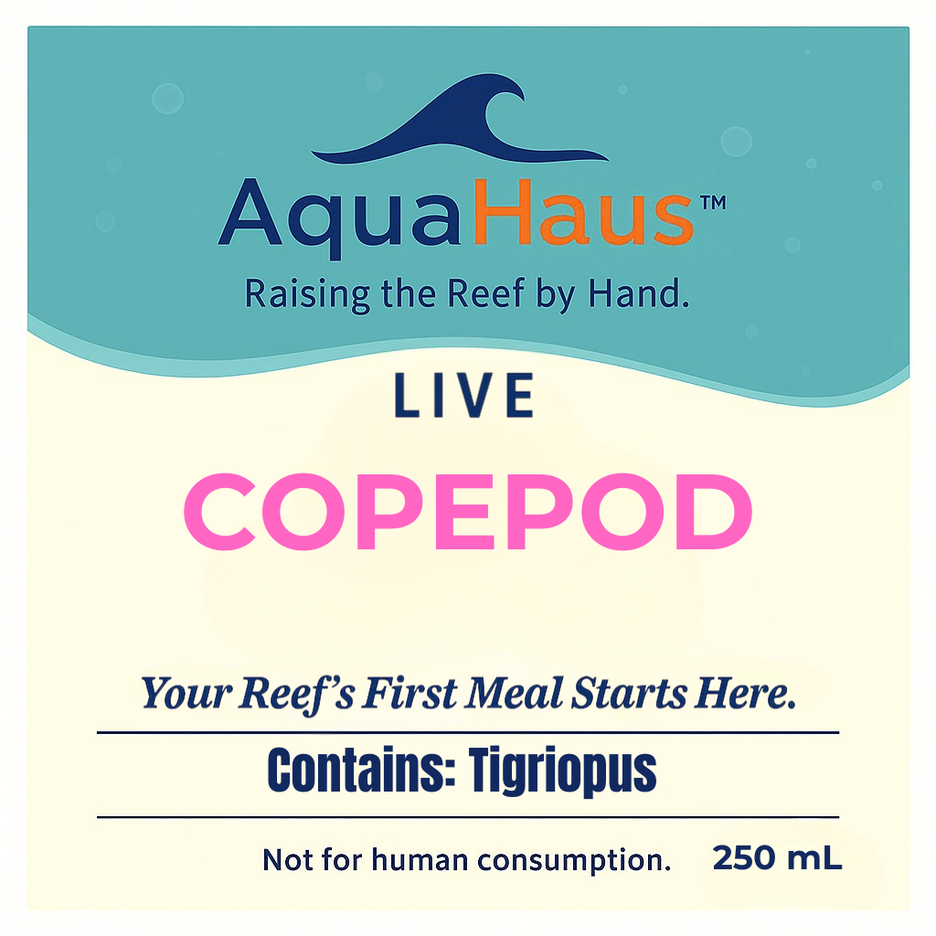 AquaHaus Tigriopus Copepods