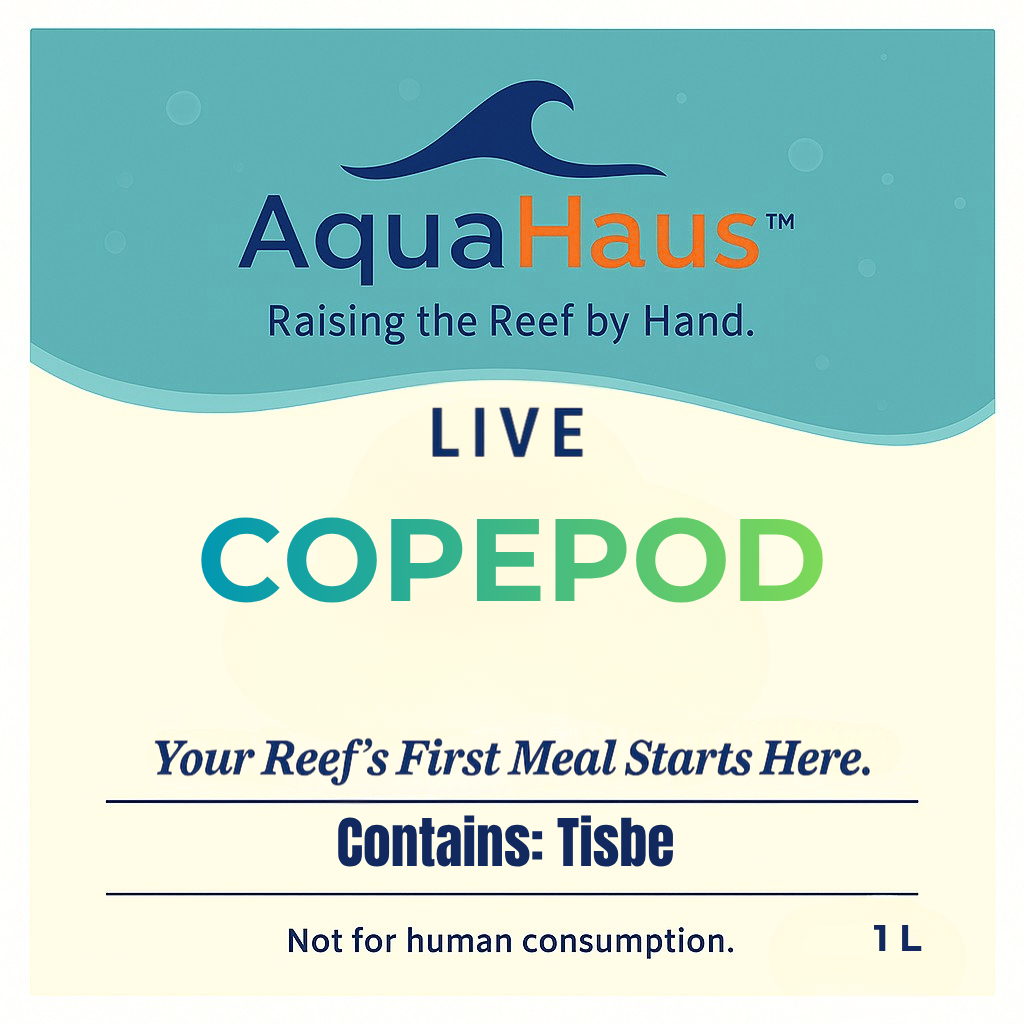 AquaHaus Tisbe Copepods