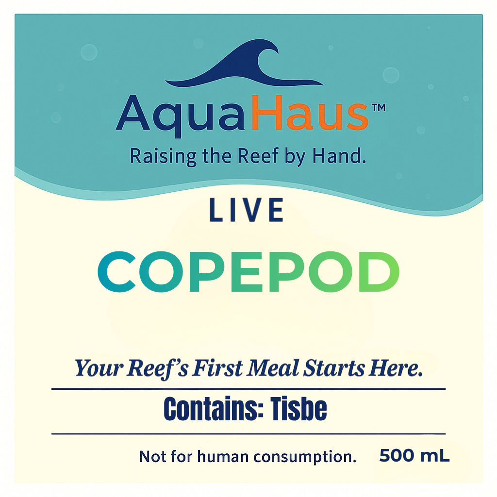 AquaHaus Tisbe Copepods
